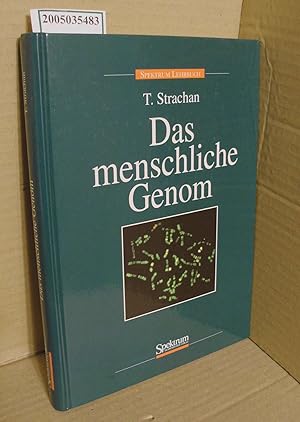Immagine del venditore per Das menschliche Genom / T. Strachan. Aus dem Engl. bers. von Sebastian Vogel venduto da ralfs-buecherkiste