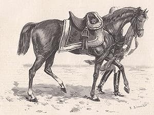 Imagen del vendedor de Der Tod des Kaisers. Das Leibpferd des Kaisers im Trauerzug. a la venta por Antiquariat Hild
