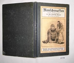 Imagen del vendedor de Menschenaffen ihr Frei- und Gefangenleben a la venta por Versandhandel fr Sammler