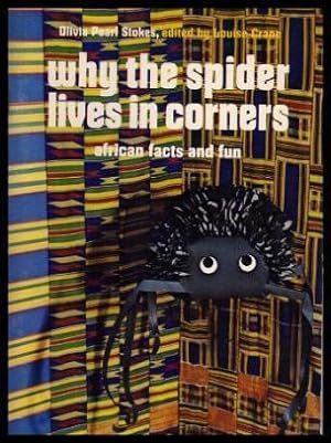 WHY THE SPIDER LIVES IN CORNERS - African Facts and Fun