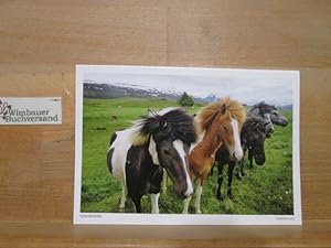 Bild des Verkufers fr Photopostkarte Island 2016 Islandpferde zum Verkauf von Antiquariat im Kaiserviertel | Wimbauer Buchversand