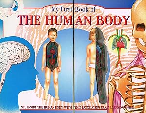 Seller image for My First Book Of The Human Body : for sale by Sapphire Books