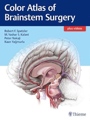 Imagen del vendedor de Color Atlas of Brainstem Surgery (Thie01 13 06 2019) a la venta por AHA-BUCH