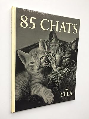 85 Chats