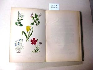 The Botanic Garden Consisting of Highly finished Representations Of Hardy Ornamental Flowering Pl...