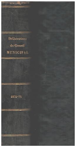 Délibérations du conseil municipal / année 1874-1875