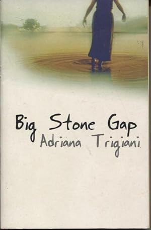 Seller image for Big Stone Gap : a Novel for sale by Dromanabooks