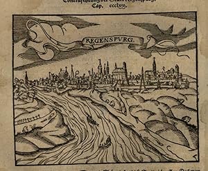 Regensburg Germany prospect 1598 Munster Cosmography wood cut print city view