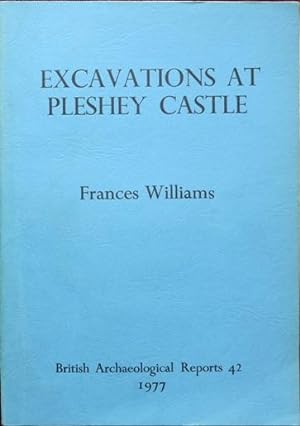 Excavations at Pleshey Castle