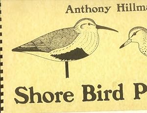 Shore Bird Patterns
