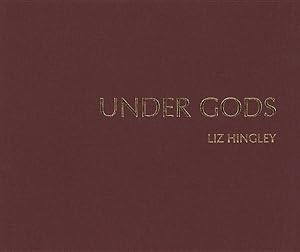 Immagine del venditore per Under Gods : Stories from the Soho Road venduto da GreatBookPrices