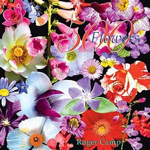 Bild des Verkufers fr 500 Flowers zum Verkauf von GreatBookPrices
