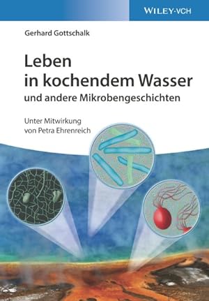 Imagen del vendedor de Leben in Kochendem Wasser Und Andere Mikrobengeschichten -Language: german a la venta por GreatBookPrices