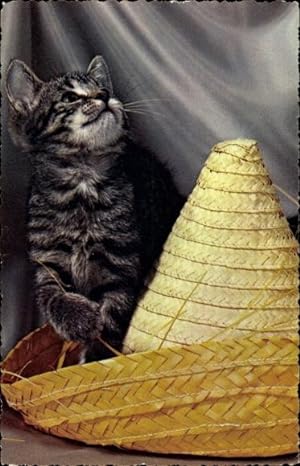 Ansichtskarte / Postkarte Katze, Kitten, Getigert, Strohhut, Hochschauend