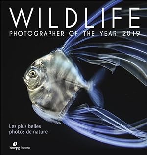 wildlife photographer of the year 2019 ; les plus belles photos de nature