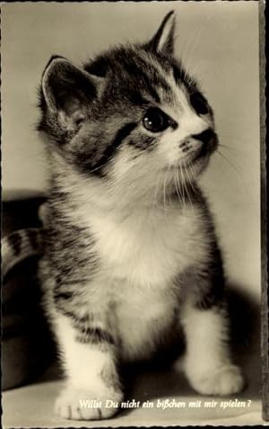 Bild des Verkufers fr Ansichtskarte / Postkarte Katze, Kitten, Getigert, Willst Du nicht ein bisschen spielen? zum Verkauf von akpool GmbH