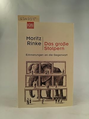 Seller image for Das groe Stolpern Erinnerungen an die Gegenwart for sale by ANTIQUARIAT Franke BRUDDENBOOKS