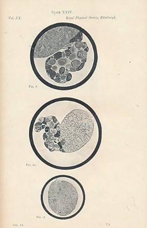 Immagine del venditore per Proceedings of the Royal Physical Society of Edinburgh. Volume XX. 1915-1923 venduto da Barter Books Ltd