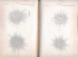 Bild des Verkufers fr Proceedings of the Royal Physical Society of Edinburgh. Volume XVIII. 1910-1912 zum Verkauf von Barter Books Ltd