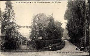 Ansichtskarte / Postkarte Chatenay Hauts-de-Seine, Pépinières Croux, Les Glycines