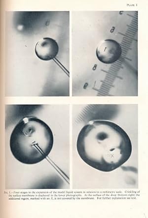 Bild des Verkufers fr Proceedings of the Royal Physical Society of Edinburgh. Volumes XXVIII-XXIX. 1960-1965 zum Verkauf von Barter Books Ltd