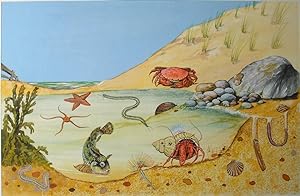 Original Artwork from World of Wonder Magazine - British Seaside Rock Pool Life