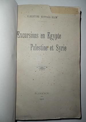 Excursions en Egypte Palestine et Syrie