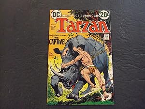 Tarzan Of The Apes #212 Sep 1972 Bronze Age DC Comics Uncirculated