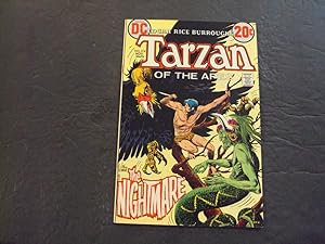 Tarzan Of The Apes #214 Nov 1972 Bronze Age DC Comics Uncirculated