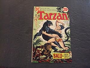 Tarzan Of The Apes #213 Oct 1972 Bronze Age DC Comics Uncirculated