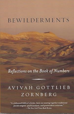 Bewilderments, Reflections on the Book of Numbers