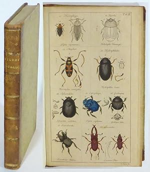 Catalog meiner Insecten-Sammlung. Erster Theil. Käfer. (All published). Mit 4 ausgemahlte Kupfert...