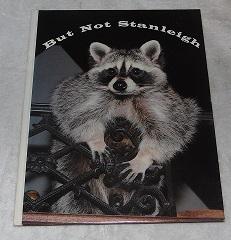 Seller image for But Not Stanleigh for sale by Pheonix Books and Collectibles