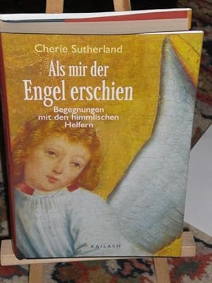 Bild des Verkufers fr Als mir der Engel erschien, Begegnungen mit den himmlischen Helfern zum Verkauf von Verlag Robert Richter
