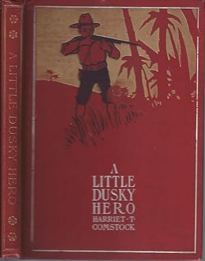 Seller image for A Little Dusky Hero for sale by The Ridge Books