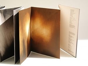 Seller image for Anish Kapoor: Sketchbook (English/French) for sale by Antiquariat UEBUE