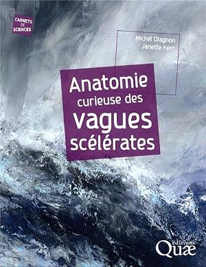 anatomie curieuse des vagues scélérates