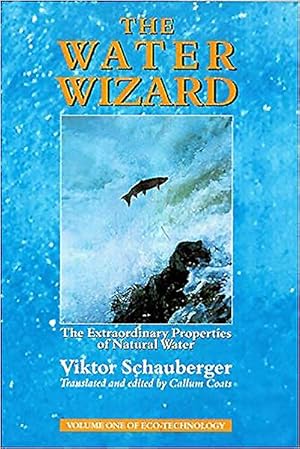 Image du vendeur pour Water Wizard : The Extraordinary Properties of Natural Water mis en vente par GreatBookPrices