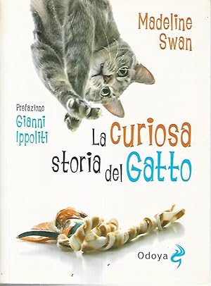 La curiosa storia del gatto