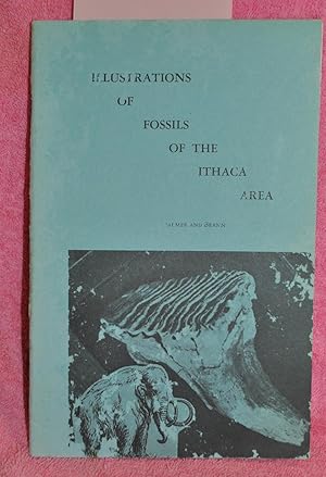 Imagen del vendedor de ILLUSTRATIONS OF FOSSILS OF THE ITHACA AREA a la venta por THE BOOK VAULT