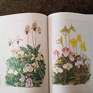 Imagen del vendedor de An Illustrated Survey of Orchid Genera a la venta por Ravenroost Books