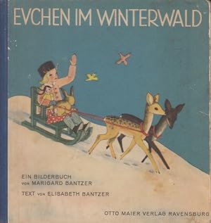 Evchen im Winterwald Ein Bilderbuch