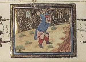 Digging Chopping Axe Spade Trees Flemish Belgium Medieval Book Postcard