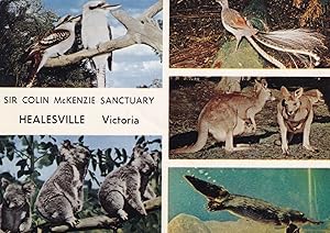 Healesville Victoria Australia Colin MacKenzie Sanctuary Postcard