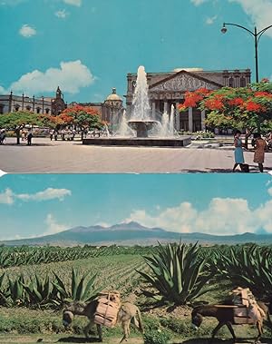 Teatro Degollado Guadalajara Mexico & Mexican Agriculture 2x Postcard s