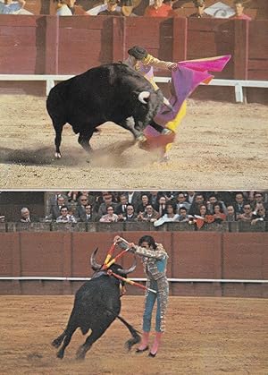 Juan Jose Padilla Spanish Bullfighter & Harpoon Death 2x Postcard s