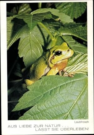Ansichtskarte / Postkarte Laubfrosch, Aus Liebe zur Natur, lasst sie überleben