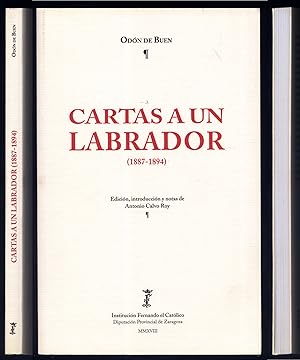 Imagen del vendedor de Cartas a un Labrador (1887-1894). Edicin, introduccin y notas de Antonio Calvo Roy. a la venta por Hesperia Libros