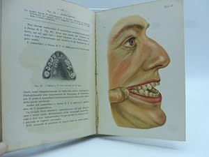 Immagine del venditore per Atlante e compendio di odontojatria e delle malattie della bocca venduto da Coenobium Libreria antiquaria