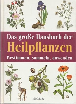 Seller image for Das groe Hausbuch der Heilpflanzen gestern und heute. Bestimmen, sammeln, anwenden. for sale by Ant. Abrechnungs- und Forstservice ISHGW